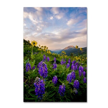 Trademark Fine Art Dan Ballard 'Alpine Johnson' Canvas Art, 12x19 ALI8063-C1219GG